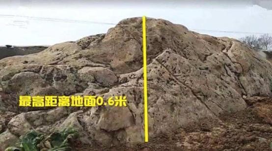 世界上最“矮”的山，平均高度只有0.6米，至今无人成功攀登