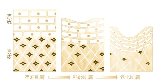 纯人源胶原蛋白（中科臻颜胶原魔法）(3)