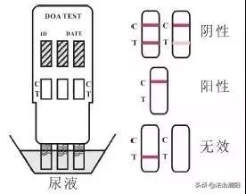 吸了毒品到底是什么感觉（如果被动吸食了毒品）(6)
