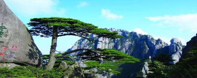 ​中国四大名山是哪四个（中国著名的四大名山分别在哪里）