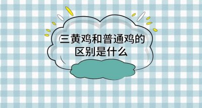 ​三黄鸡和普通鸡有什么区别？三黄鸡的营养价值是什么？