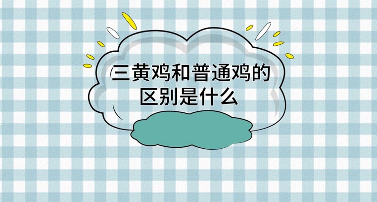 三黄鸡和普通鸡有什么区别？三黄鸡的营养价值是什么？
