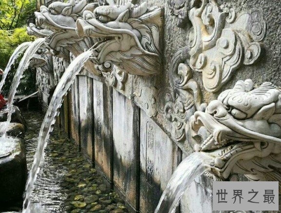 中国最美蝴蝶泉，成千上万的蝴蝶来赴会