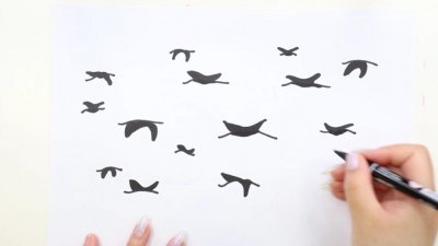 ​动物迁徙qq红包怎么画_简单的方法画出鸟类迁徙