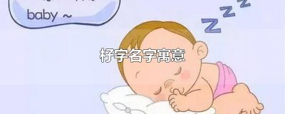 ​杍字名字寓意