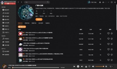 ​熊猫DJ串烧音乐网