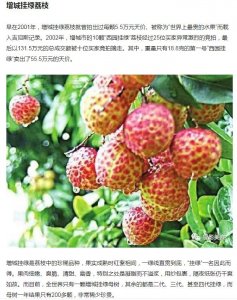 ​玉带林中挂，关系林黛玉的死，但不是上吊
