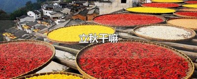 ​立秋一般干什么 立秋要干什么