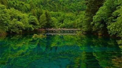 ​我怕大年三十的鞭炮太响……