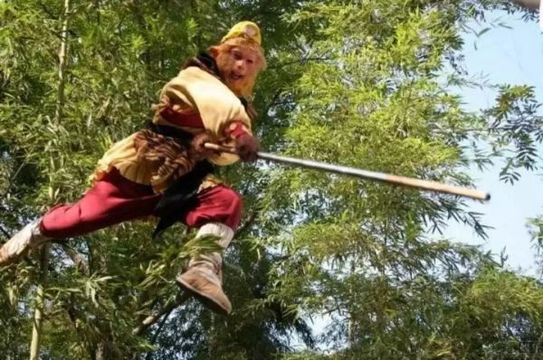 孙悟空大闹地府秦广王上天庭告状为何见不到玉帝?(品阶不够)