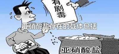 ​亚硝酸盐存在的载体包括（亚硝酸盐存在的载体包括哪些）