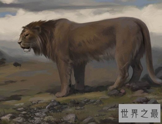 史上最大的狮子，就是著名的残暴狮