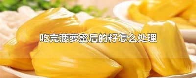 ​吃完菠萝蜜后的籽怎么处理
