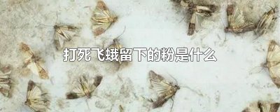 ​打死飞蛾留下的粉是什么