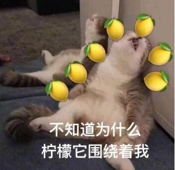 柠檬精是什么意思