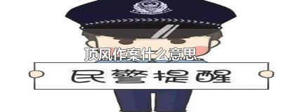 ​顶风作案什么意思