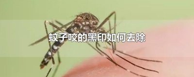 ​蚊子咬的黑印如何去除