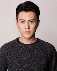 ​靳东个人资料 简介(演员靳东任中国煤矿文工团副团长)