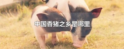 ​中国香猪之乡是哪里