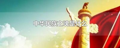 ​中华民族之魂是什么