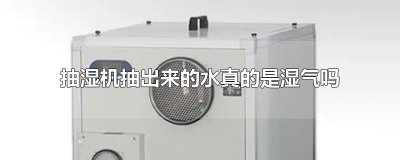 ​抽湿机抽出来的水真的是湿气吗
