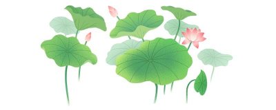 ​荷叶的寓意和象征