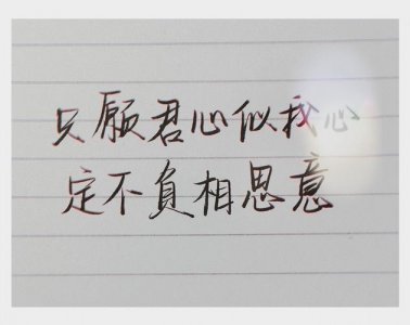 ​定不负相思意什么意思（定不负相思意是什么意思）