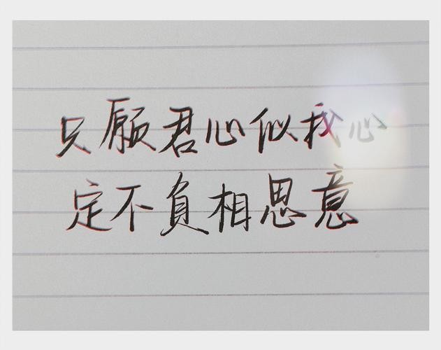 定不负相思意什么意思（定不负相思意是什么意思）