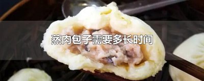 ​蒸肉包子需要多长时间