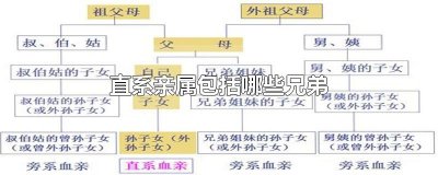 ​直系亲属包括哪些兄弟