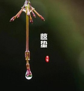 ​惊蛰的寓意