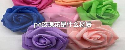 ​pe材质花是什么材料 pe玫瑰花怎么制作方法
