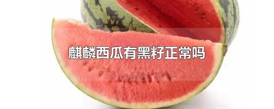 ​麒麟西瓜有黑籽正常吗
