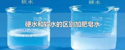 ​硬水和软水的区别加肥皂水