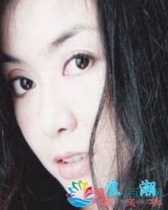 ​田雕侠简介