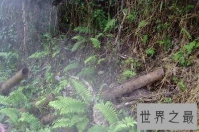 ​缅甸的野人山是一座十分可怕的山 据说很少有人活着走出去