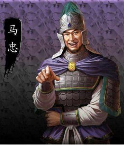 ​三国马忠简介（盘点三国时期的奇葩野史马忠杀了三国一半名将是真的吗）