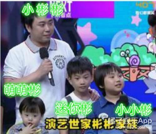 小彬彬和小小彬对比（还记得小小彬的爸爸小彬彬吗）(16)