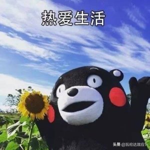 ​北京青年经典台词（50句电视剧经典台词）