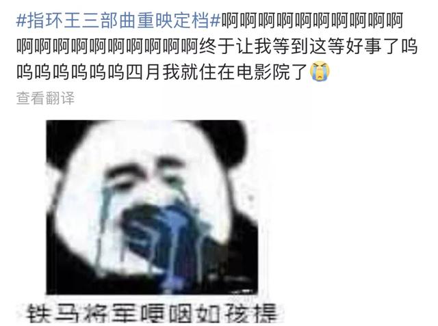 指环王20周年国内电影（指环王重映全网）(3)