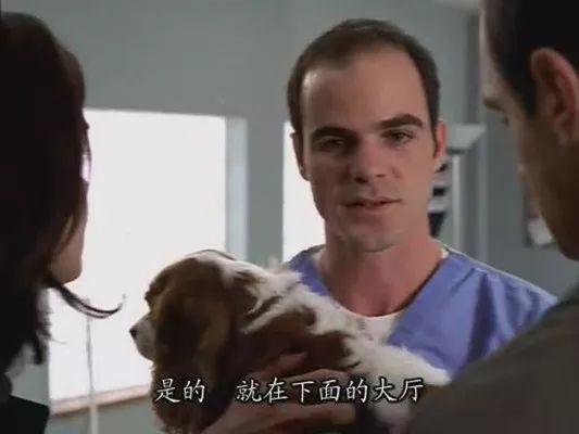 日本系列侦探电影推荐（侦探片影迷来读一下这篇）(7)