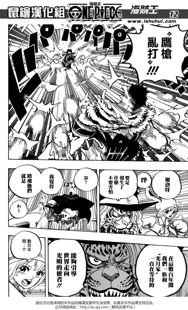 海贼王漫画1007话详细情报（海贼王漫画877话汉化）(11)
