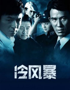 ​电视剧冷风暴角色介绍（冷风暴演员表）
