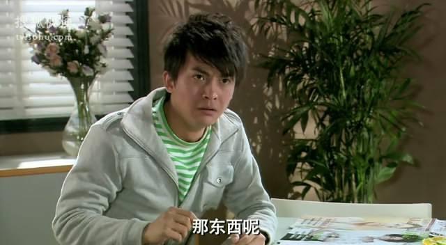 爱情公寓系列哪个最好看（到底谁才是真正的主角呢）(8)