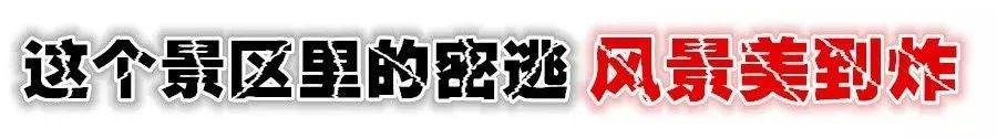 好玩的真人密室逃脱攻略（解救暑假无聊计划）(10)