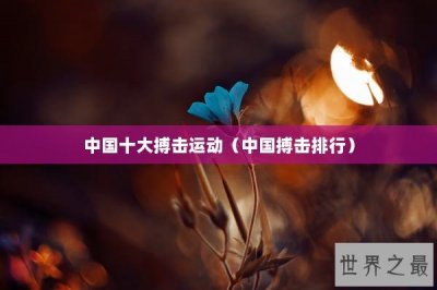 ​中国十大搏击运动（中国搏击排行）