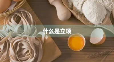 ​什么是立项
