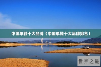 ​中国单鞋十大品牌（中国单鞋十大品牌排名）