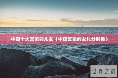 ​中国十大富豪的儿女（中国富豪的女儿分别是）