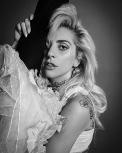 ​ladygaga(ladygaga为什么叫公交车？
